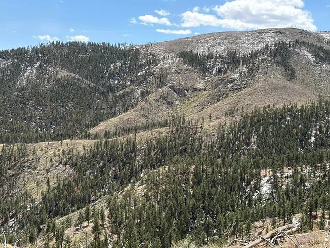 Rocky mountain ridge with ponderosa pines and snow