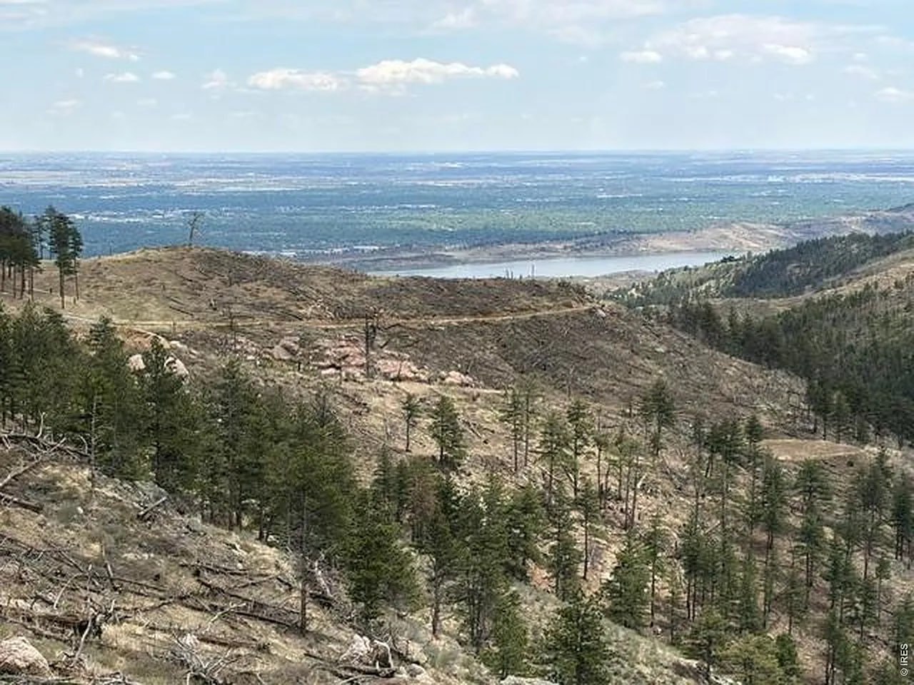 Aerial view of the Bellvue area